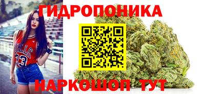 каннабис Ачхой-Мартан
