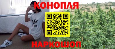 гидра Баксан